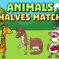 Animals Halves Match