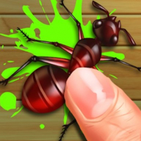 Bugs Smash Sim