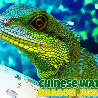 Chinese Water Dragon Jigsaw