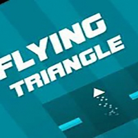 Flying Triangle 2021