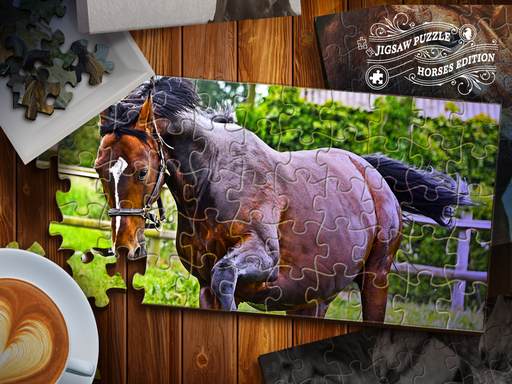 Jigsaw Puzzle Horses Edition Online
