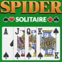 Spider Solitaire Pro